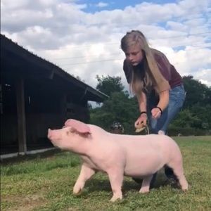 Meet your Posher, Karson